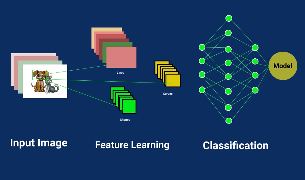 Image Classification